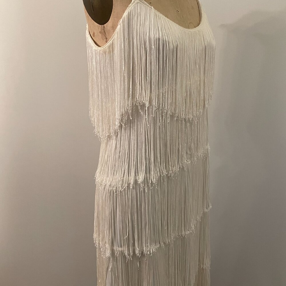 Elegant White Fringe Dress - Picture 5 of 16